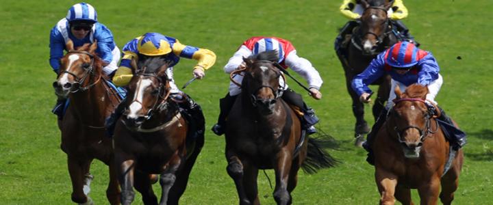 Racecourse Hospitality