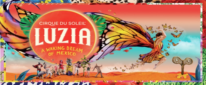 Cirque Du Soleil 2022 Christmas Show Cirque Du Soleil Luzia Vip Hospitality At The Royal Albert Hall In London