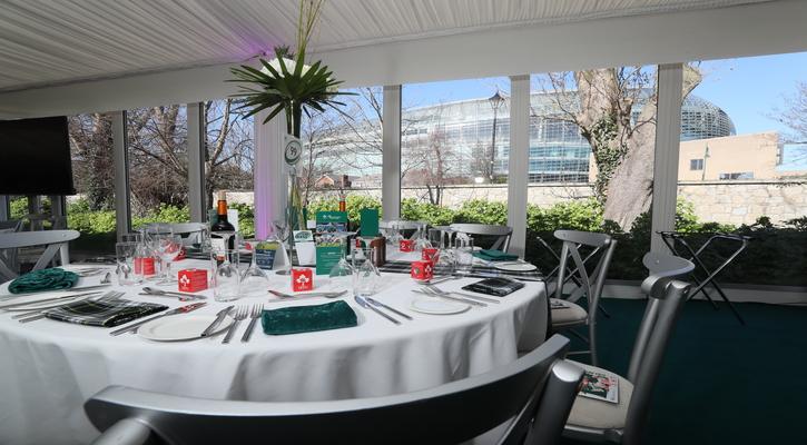 Ireland Vs France VIP hospitality packages