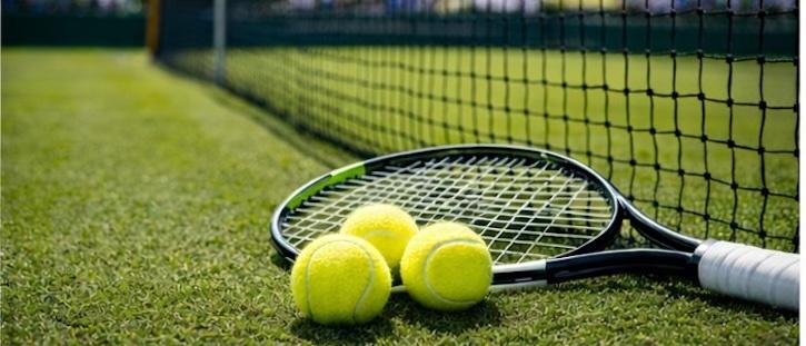 Wimbledon Debentures